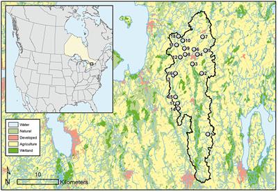 Association Between Subcatchment Land Cover and Ecological Stoichiometry Along a Human Modified Stream Network